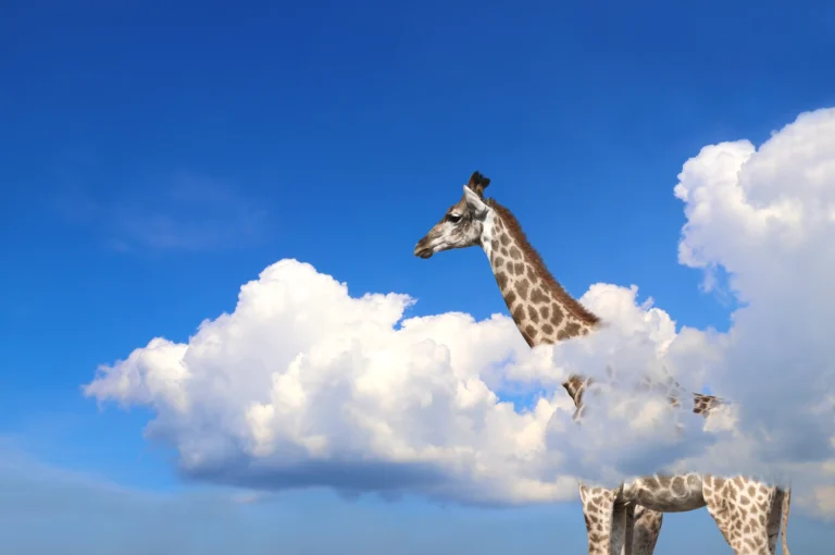 giraffe-clouds-full
